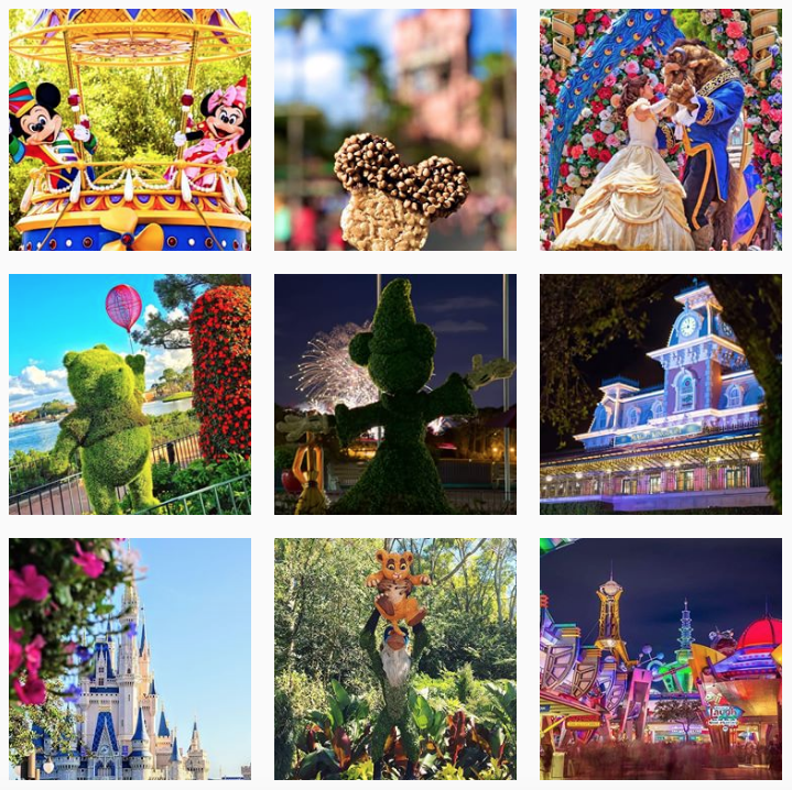 Walt Disney World How Often Should I Post on Instagram - Sked Social
